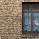 The window