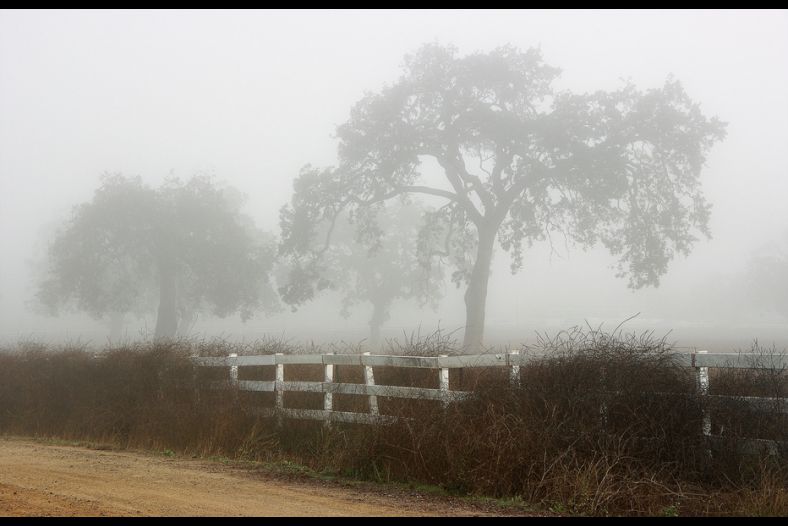 Foggy Road Entry