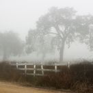 Foggy Road Entry