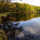 Reflections