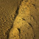 Tracks Treading Where I've Never Been