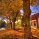 Autumn on the River Road