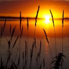 Sunset by the Lake