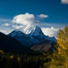 Grazing in the Rockies