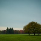 Near my home