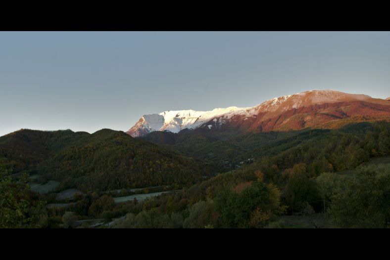 early morning