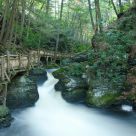 Stream Over The Trails