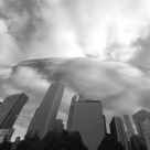 The Chicago Bean