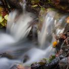 Signs of autumn