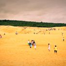 orange dunes
