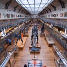 Prehistory Museum in Paris