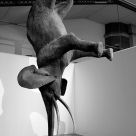 Equilibrium