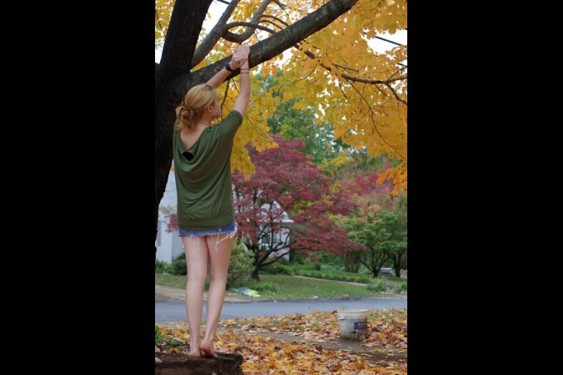 Autumn branches