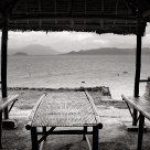 Trouble in Paradise