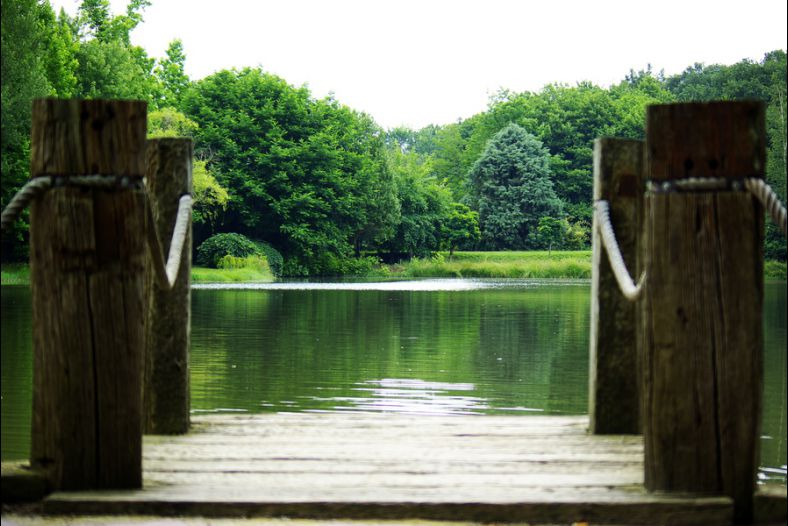 Lake from Pier