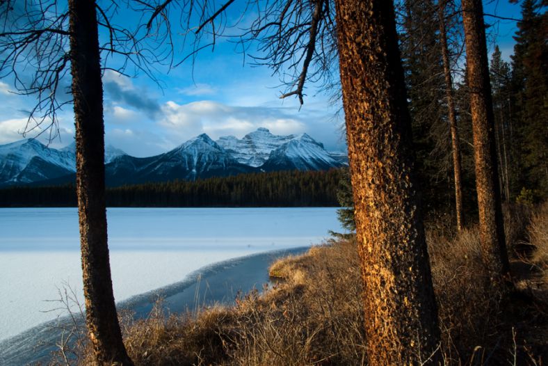 Herbert Lake