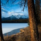 Herbert Lake