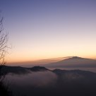Horizons in the fog