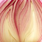 Onion