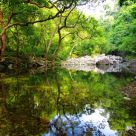 Shing Mun Reservoir