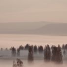Morning fog