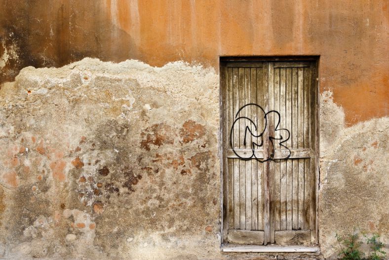 The door