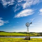 Bellbrae Hills