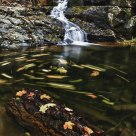 Workman Creek