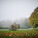 Benches