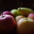 Alive still life