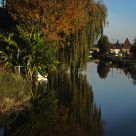 Relections in Autumn