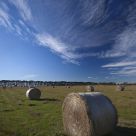 Bales