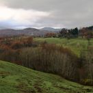 November hills