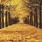 Autunno