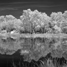 Nature reserve, Geelong