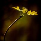 Reaching Out