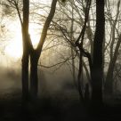 FrÃ¼h am Morgen