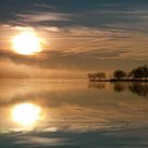 Scugog