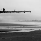 Comber's Beach