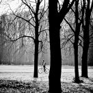 Parc de Sceaux