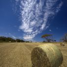 Bales and clouds