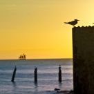 Sun set Key West