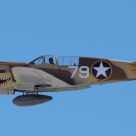 P-40 Warhawk