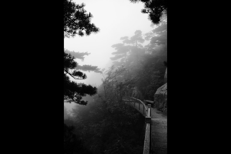 Mist