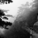 Mist