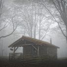La cabaña del bosque