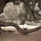 A Boy And His Tree
