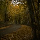 Country Roads in Fall