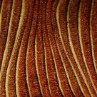 Fabric detail