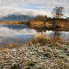 Frosty Shoreline